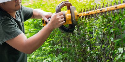 Krácení plotu aku nůžkami