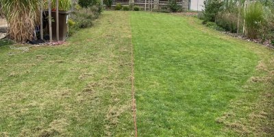 Vertikutovaný tráník