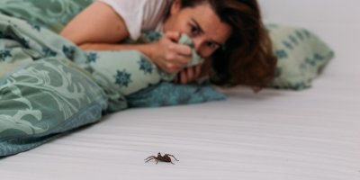 Vyděšená žena se dívá na pavouka lezoucího po posteli