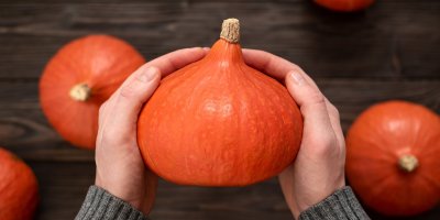 Dýně Hokkaido v rukou