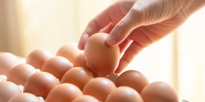 Ruka bere vejce z proložky