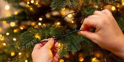 Žena instaluje na vánoční stromek LED řetěz