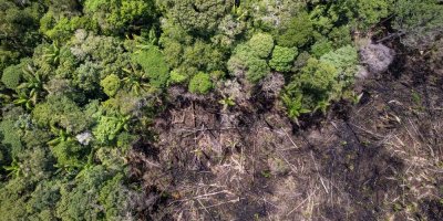 Odlesněná část amazonského deštného pralesa