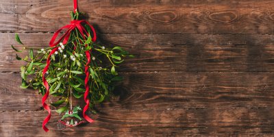 Jmelí zavěšené na dveřích