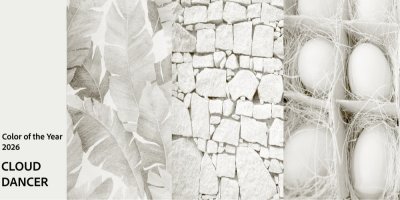 Cloud Dancer, barva roku 2026 