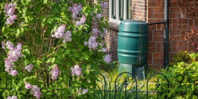 Zelený sud na bodu v zahradě