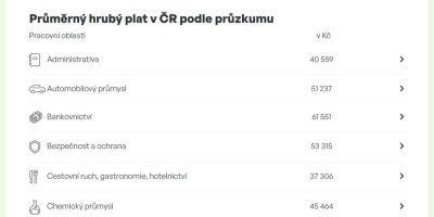 Průměrný hrubý plat v ČR podle pracovních oblastí