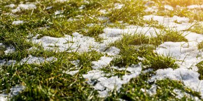 Trávník se sněhem