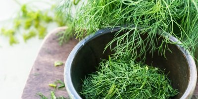 Kopr v misce a v pozadí snítky kopru