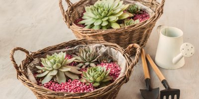 Dva košíky, ve kterých jsou v barevném kamení zasazeny netřesky