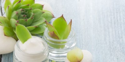 Listy netřesku a kalíšky s krémem