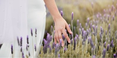 Žena prochází polem s levandulemi