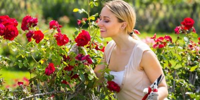 Mladá zahradnice se sklonila, aby přivoněla ke krásným růžím