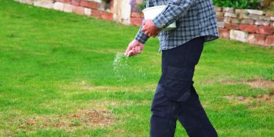 Muž drží kbelík a rozhazuje hnojivo po trávníku