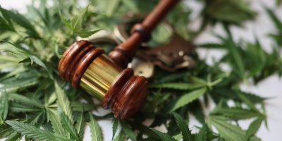 Listy konopí a soudcovské kladívko