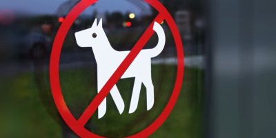 Značka zákazu vstupu se psy