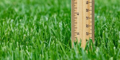 Pravítko zabodnuté v trávníku