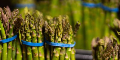 Chřesty ve svazcích