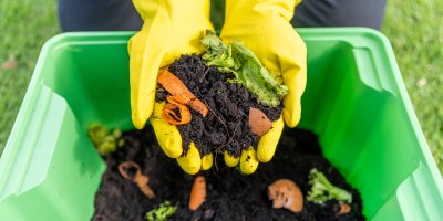 Kompost v rukou