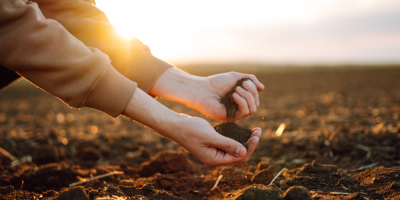 Osoba, která drží v rukou zeminu