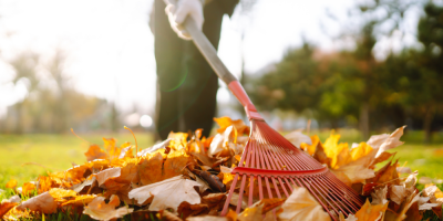 Člověk hrabe listí