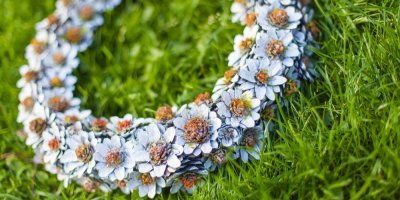 Jarní věnec z nabarvených šišek