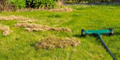 Vertikutace trávníku