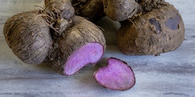 Hlízy s fialovým vnitřkem