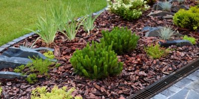 Rostliny a mulčovací kůra