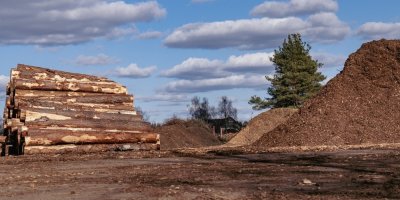 Klády a kůra na pile