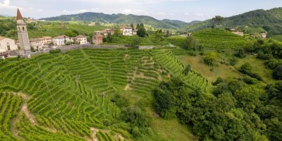 Pohled na vinice Prosecco a kostel Chiesa di Rolle v Rolle