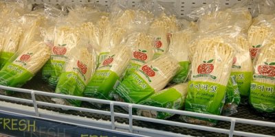 Houba enoki na pultech