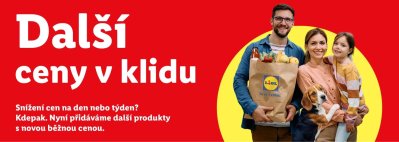 Baner Lidlu
