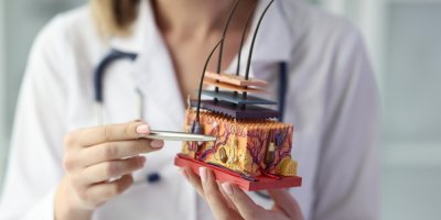 Model vlasové pokožky a vlasových folikulů