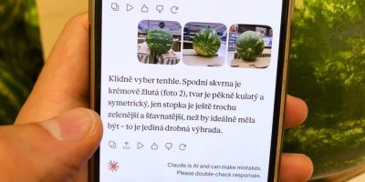 Umělá inteligence radí při nákupu melounu