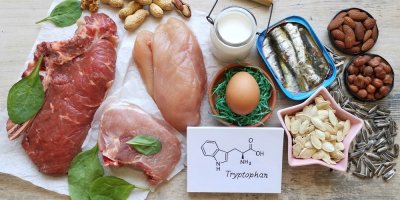 Potraviny obsahující tryptofan