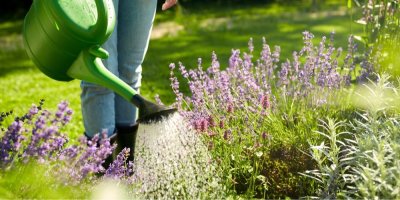 Žena zalévá květiny na zahradě