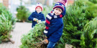 Velké řetězce dnes zahajují prodej vánočních stromků, objednávky přijímají i on-line