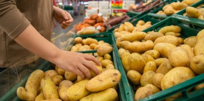 Člověk vybírá brambory v supermarketu
