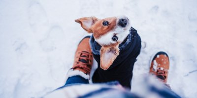 Pes v oblečku a páníček stojící v zimě na sněhu