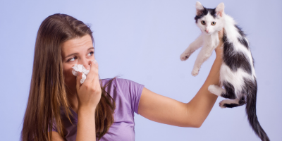 I těžký alergik může mít doma mazlíčka