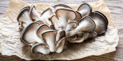 Některé houby mají léčivé vlastnosti, které stojí za to objevovat.