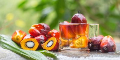 Je nutné se palmovému oleji vyhýbat?