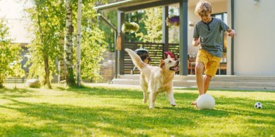 Chlapec a pes si hrají na zeleném trávníku s míčem