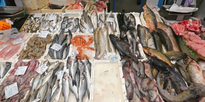 Pult plný ryb na tržnici 