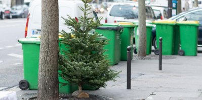Vánoční strom u popelnic 