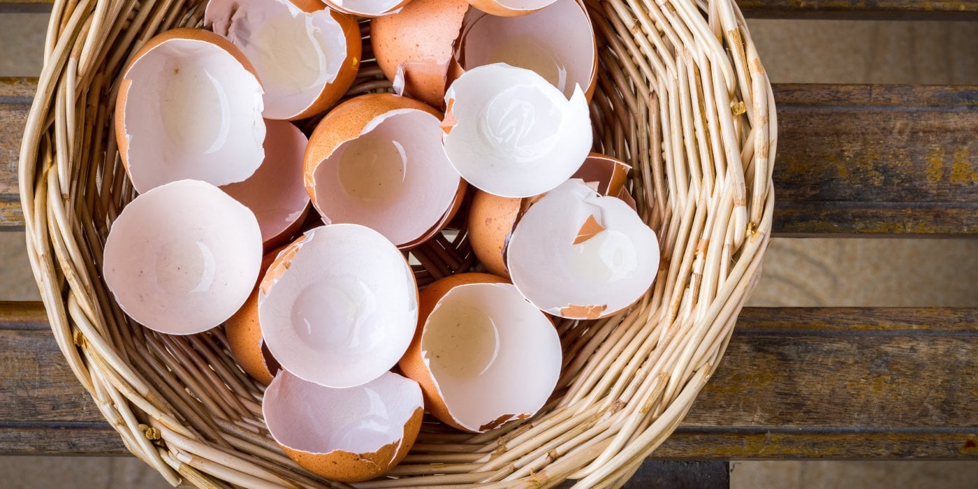 Jak využít skořápky od vajec?