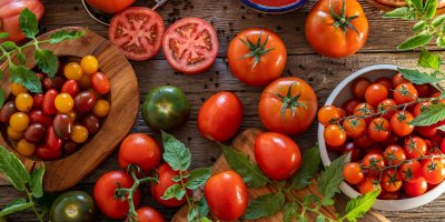 Různé druhy rajčat: červená a žlutá cherry rajčata, keříková rajčata, zelená rajčata
