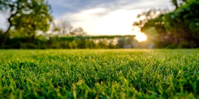 Jak ošetřit travní porost po zimě? 5 kroků pro dokonalý trávník