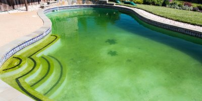 Zelený bazén